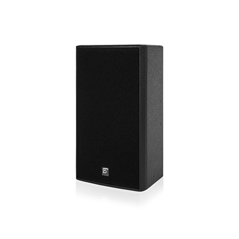 ES110 single 10-inch full-range speaker