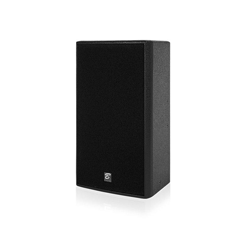 ES112 single 12 inch full frequency speaker