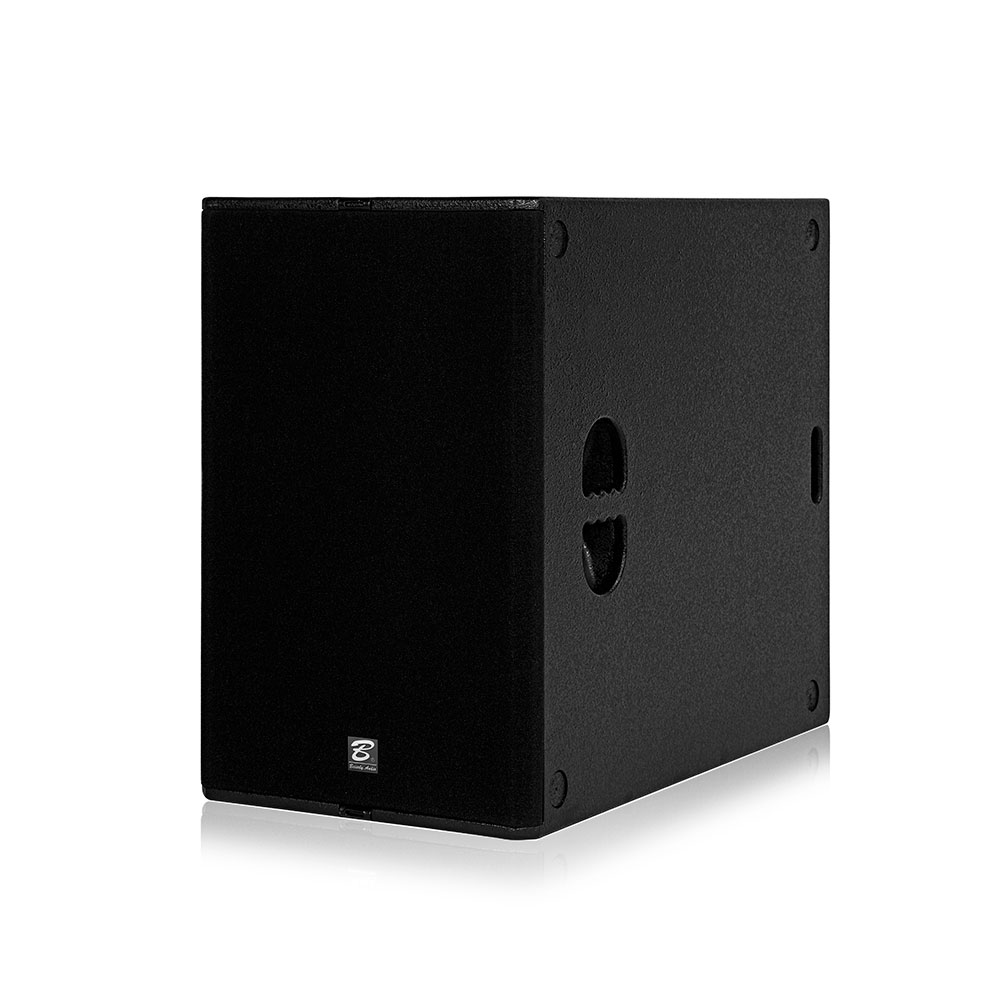 T30 is a dual 15-inch subwoofer