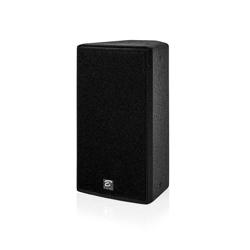 ES108 single 8 inch full frequency speaker