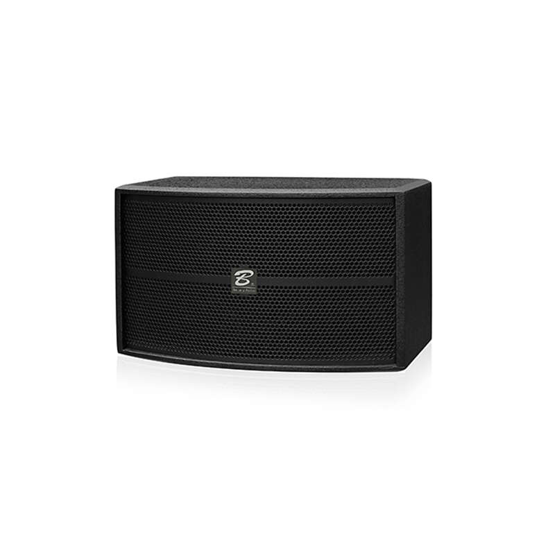 OK-308 single 8 inch full frequency speaker