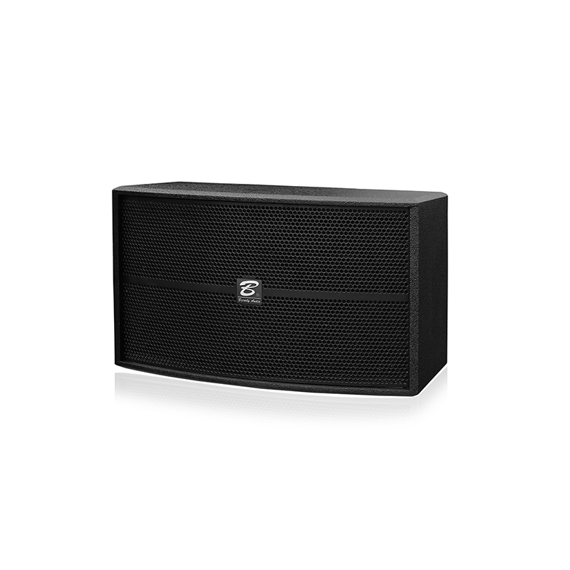 OK-310 is a single 10-inch full-range speaker