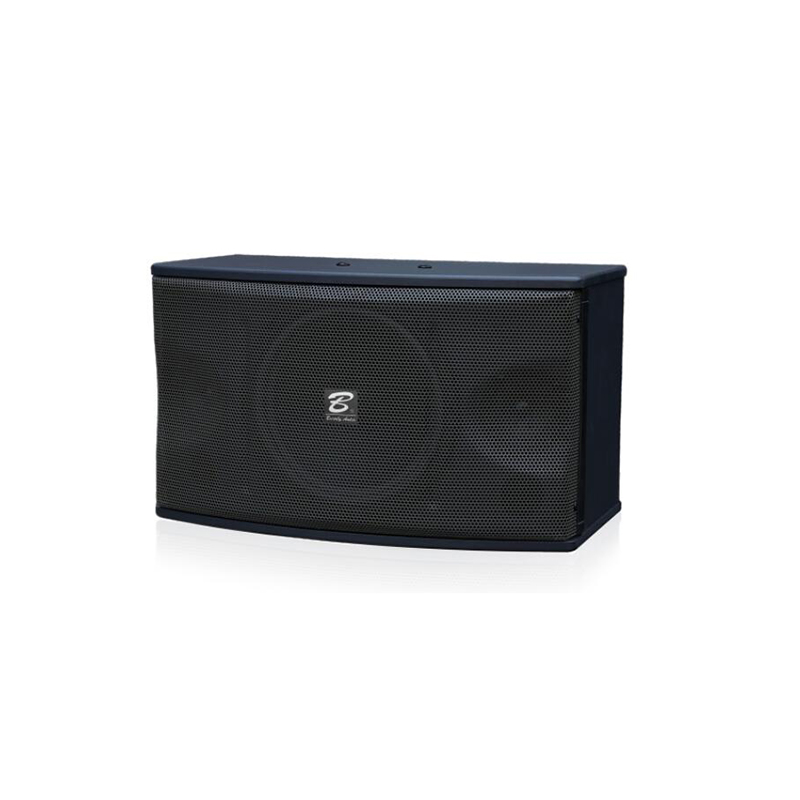 K-450B single 10-inch full-range speaker
