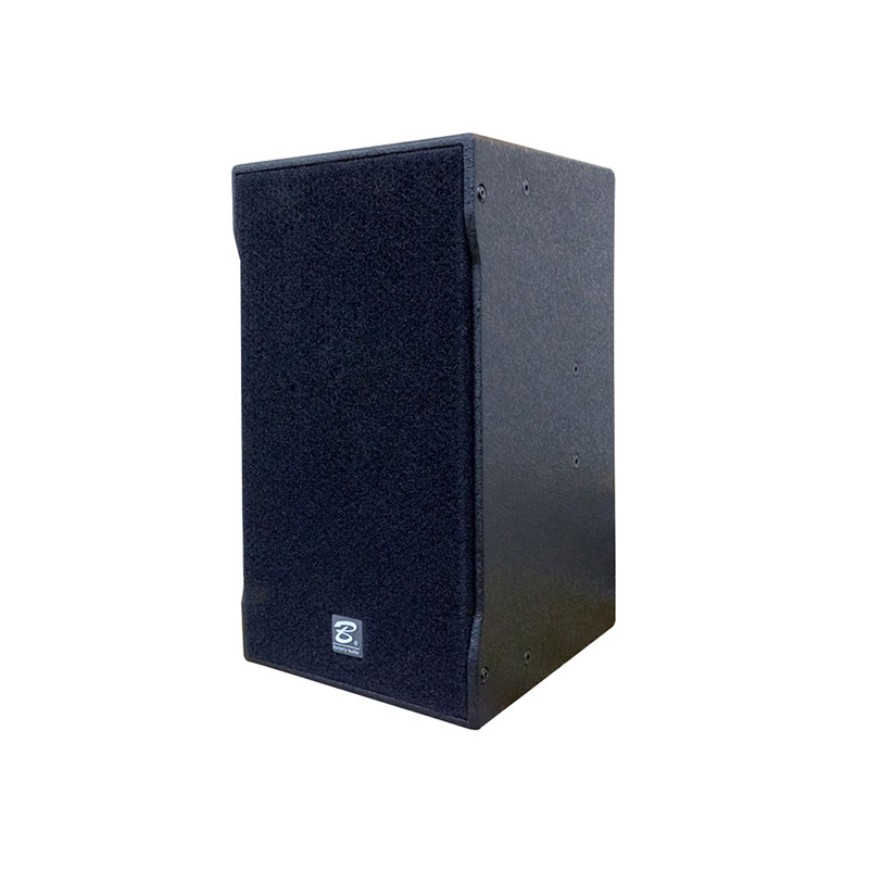 TFA-12 single 12 inch full frequency speaker