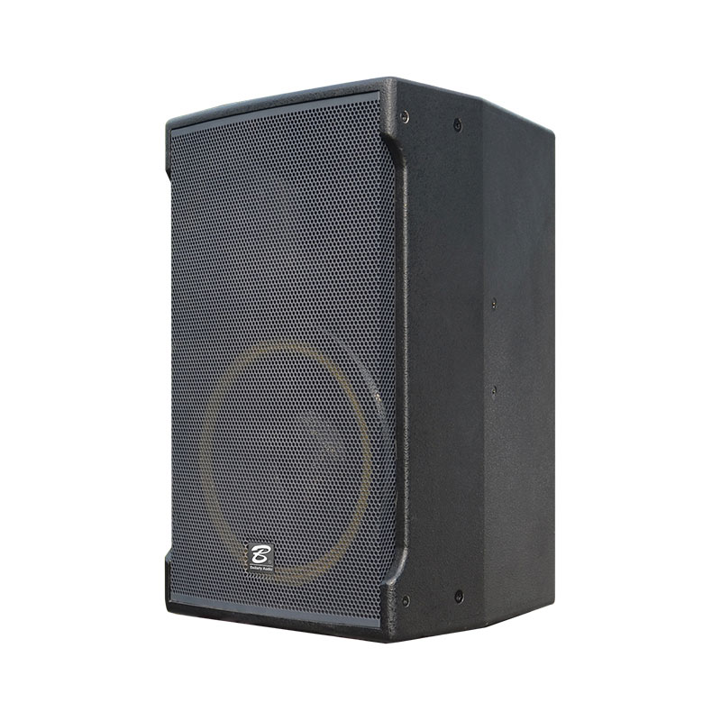 FM10 + Single 10-inch full-range speaker
