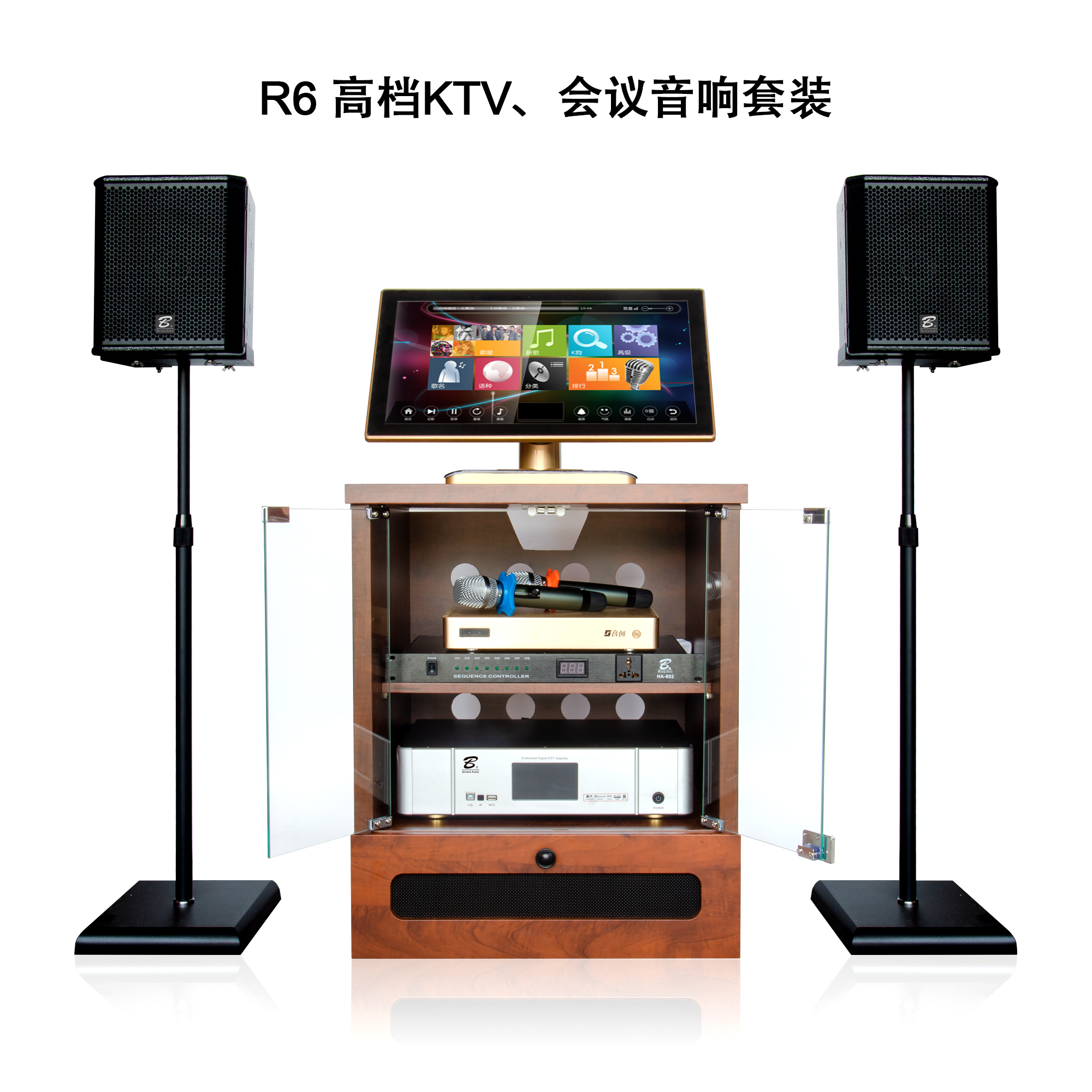 R6 KTV professional audio set