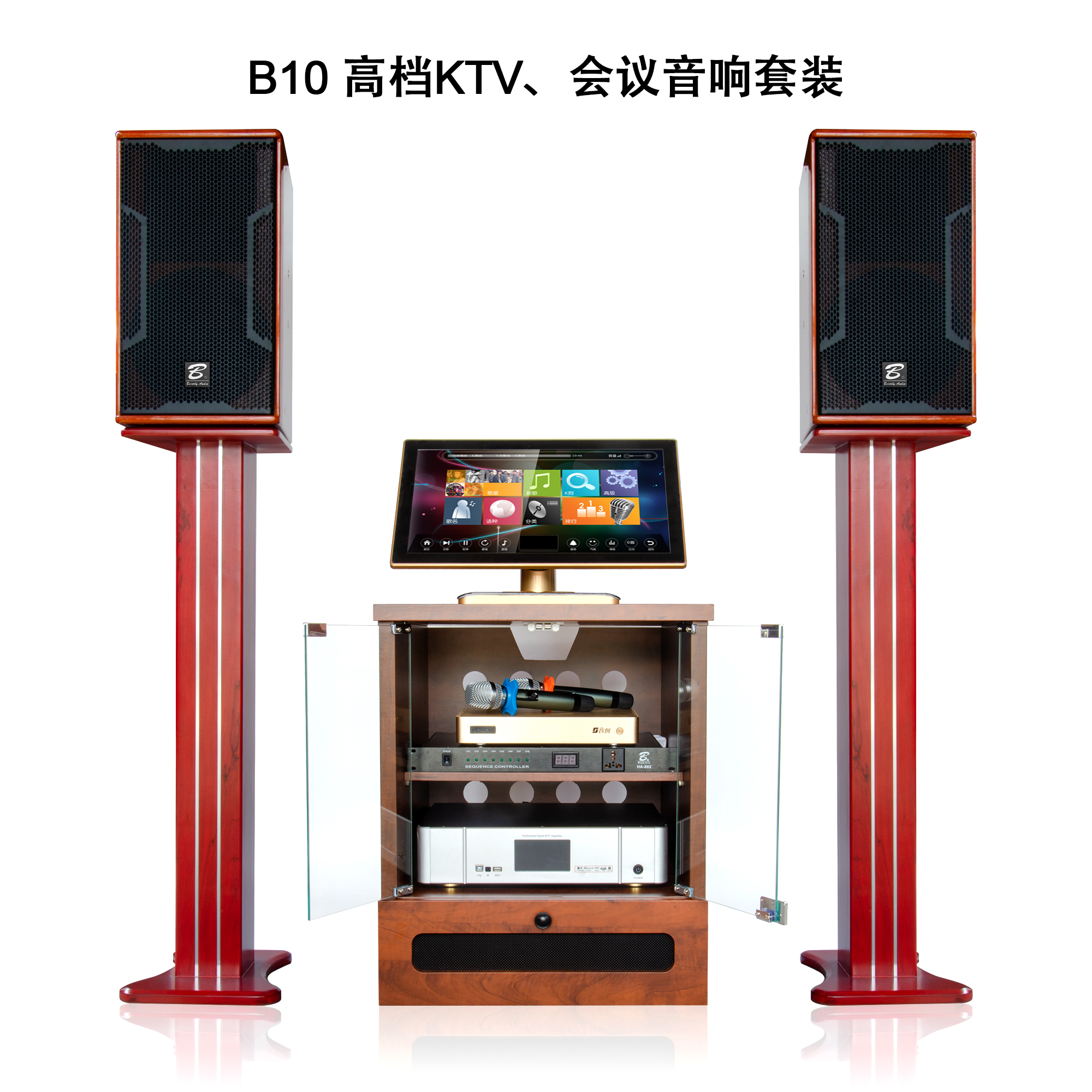 B10 KTV professional audio set